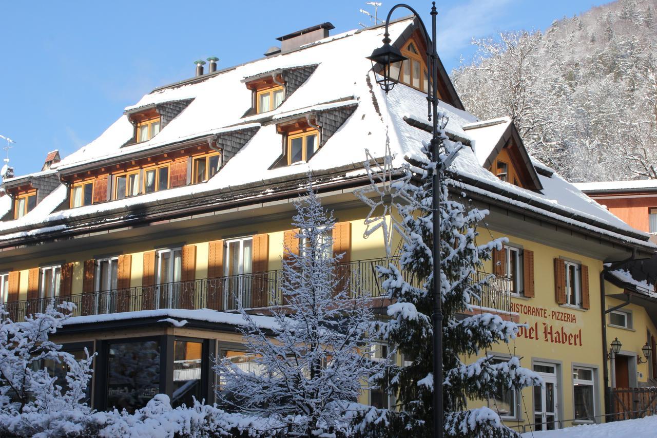 Hotel Haberl Tarvisio Esterno foto